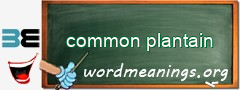WordMeaning blackboard for common plantain